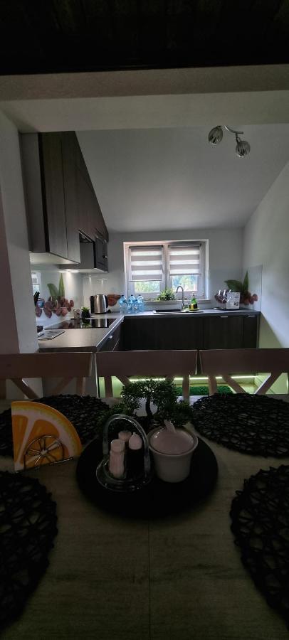Apartament Elbrus Czyrna Szczyrk Wypozyczalnia Rowerow E-Bike Czyrna Szkola Narciarska & Wypozyczalnia Ski Serwis Exterior foto
